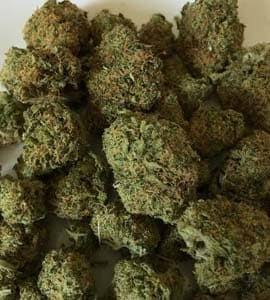 Marijuana worth Rs 1.44 crore seized from Odisha to Rajasthan, 2 inter-state smugglers arrested