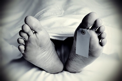 Land division dispute claims mother's life in Korba; differently-abled son attacks her with a stick.