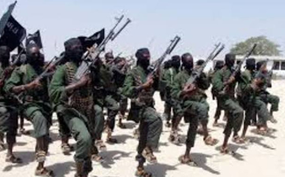Somali forces kill 30 al-Shabaab militants in southern operation