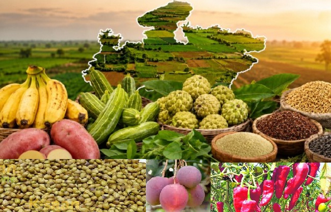 For the first time in the country, 12 horticultural crops from Madhya Pradesh have received the GI tag.