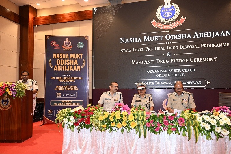 Illegal cannabis cultivation worth Rs 1,911 crore destroyed in Drug-Free Odisha campaign