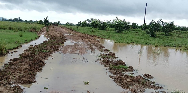 MGNREGS Corruption in Pabitrapur panchyat,Pallahara