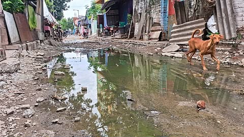 TN orders environmental audit of 28 urban water, sewerage projects; study on manual scavenging