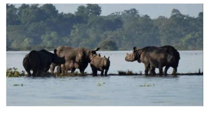 Flood situation in Kaziranga is serious, eight forest camps submerged