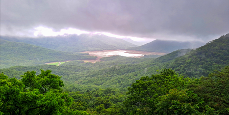 TN: Moderate rain likely in Western Ghats districts today; humid conditions to persist