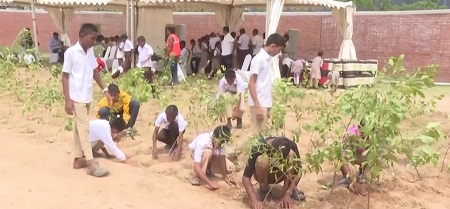 Ek Ped Maa Ke Naam: PM Modi highlights record plantation, renews call for conservation