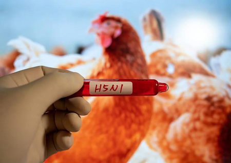 Seven new suspected H5N1 bird flu cases reported in Australia