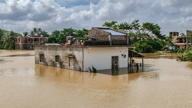57 blocks in 15 districts affected by floods, except Mahanadi, all other rivers below danger level - Minister