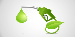 'Factually incorrect': Govt refutes media report on ethanol import from US